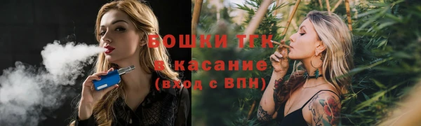 МДПВ Нефтегорск