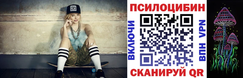 Купить  Шали  Галлюциногенные грибы Cubensis 